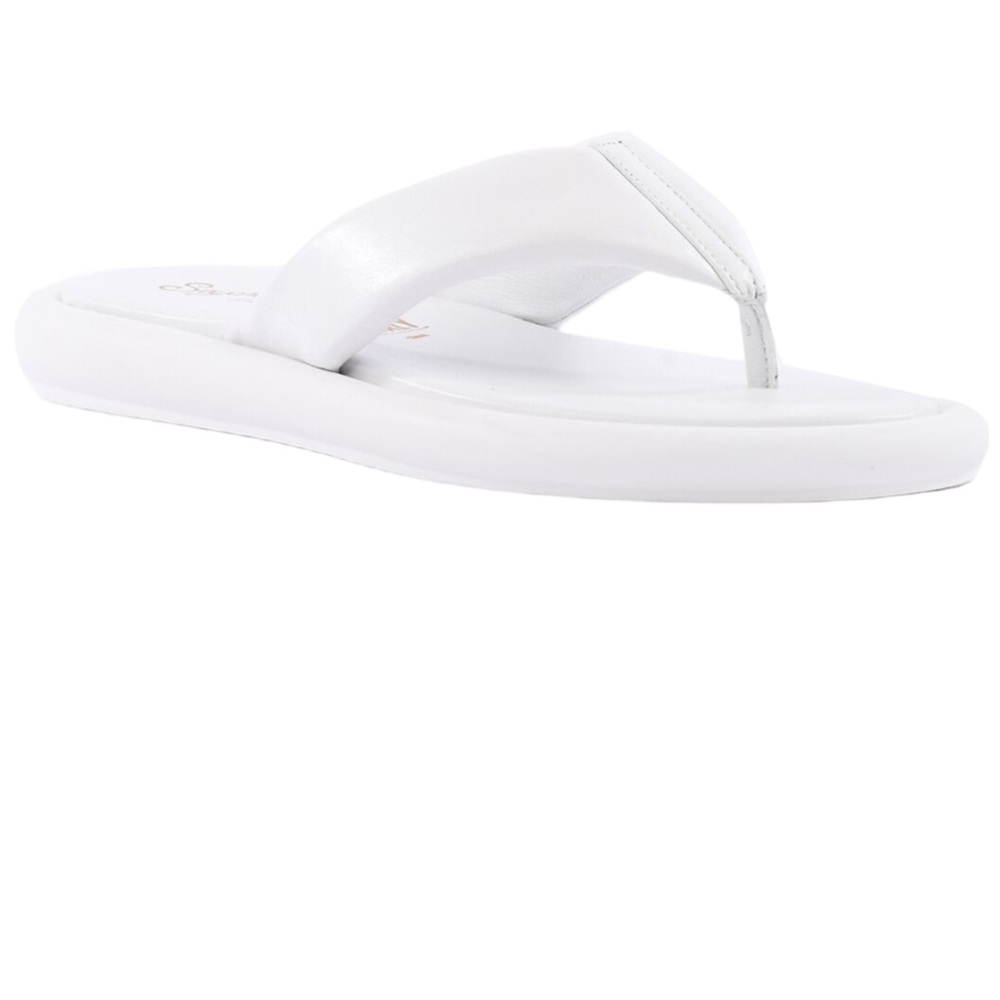 Seychelles Fun Fact Leather Sandal SZ 8 NIB